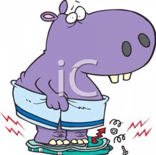 The_diet_man's profile picture. 