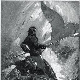 DrKNystrom's profile picture. Director of English, Regional School District 19