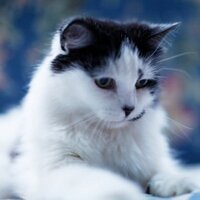 Linda Strickland (@shutterbug33) 's Twitter Profile Photo Linda Strickland (@shutterbug33) 's Twitter Profile Photo