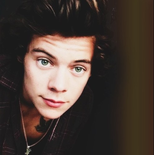 just a cray-cray fangirl for those 5 homosexuals. Lets cry together because 0/5:'(