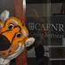 CAFNR CareerServices (@cafnrcareers) Twitter profile photo CAFNR CareerServices (@cafnrcareers) Twitter profile photo