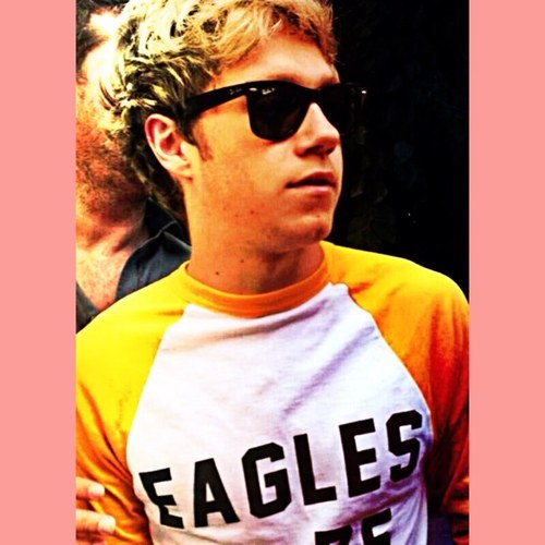 Niall ate my bio oops.....