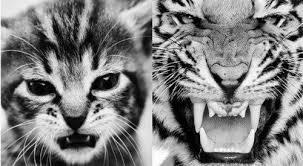 ksysha67814's profile picture. 