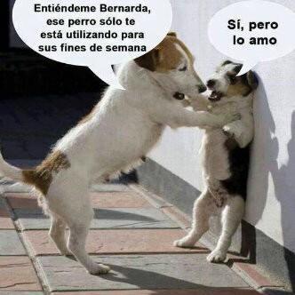 LA viDa siN amOR nO eStAaN buEnA