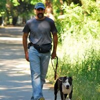 Jaimie Scott Dog Owner Training(@blissfuldog) 's Twitter Profile Photo
