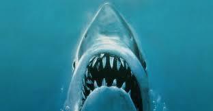 Don't go in the water
