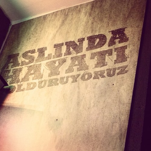 Invalidvalue's profile picture. 