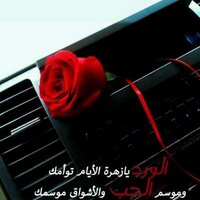 sσσмџ♚ (@somyalrayes) 's Twitter Profile