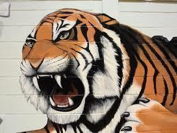 Leander MS Tigers Profile