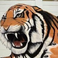 Leander MS Tigers (@leandermstigers) 's Twitter Profile