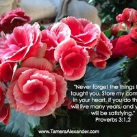 Myrna Bescher (@myrnabescher) 's Twitter Profile
