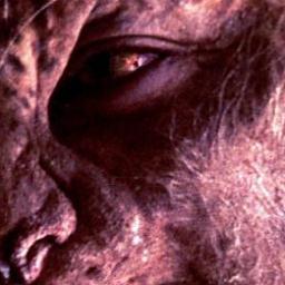 Lokota_Rain's profile picture. ♠Everyone and no one. You take the blue pill and you can walk away. No questions asked. Take the red pill and see how far the rabbit hole goes.♠