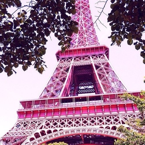 Wild teenagers are in academy in france Dm for a role or tweet