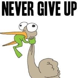 inserire frase figa per attirare nuovi followers