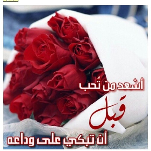 لآ آتبع آحد ولآ آفکر بِ تفکير آحد ولآ آريد آن اكون بمنطق آحد ، خلقت بشراً لأنفرد بِ عقلي واکون لي قبل آي احد (زوجي هو كل حياتي )