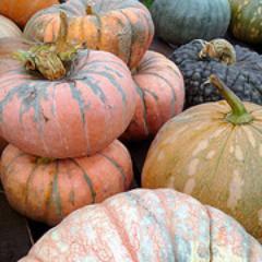 UrbanRustcCarts's profile picture. Providing delicious, mobile food service to Williamsburg and the surrounding neighborhoods.