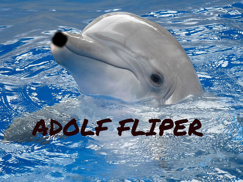 soy un hijo de puta, odio el mar y los delfines, me levanto de mar humor y me gustan los tiburones, pero lo que mas odio son los putos humanos, naci en huelva