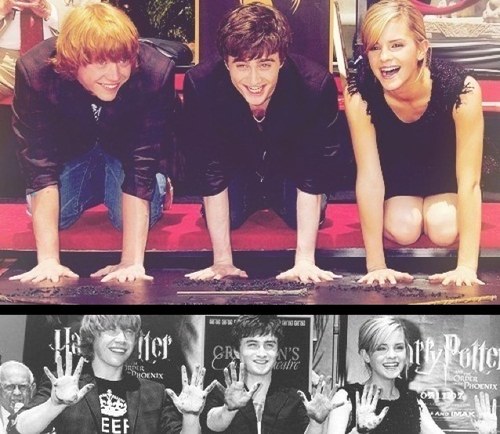 _ImGryffindor's profile picture. HP will never die. And that's a promise.