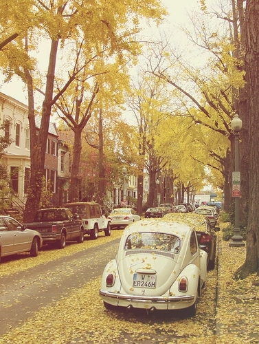 662Rmeysa's profile picture. Kaybetmekten korkma; birşeyi kazanman için bazı şeyleri kaybetmelisin. Ve unutma; Kaybettiğinde değil,vazgeçtiğinde yenilirsin.