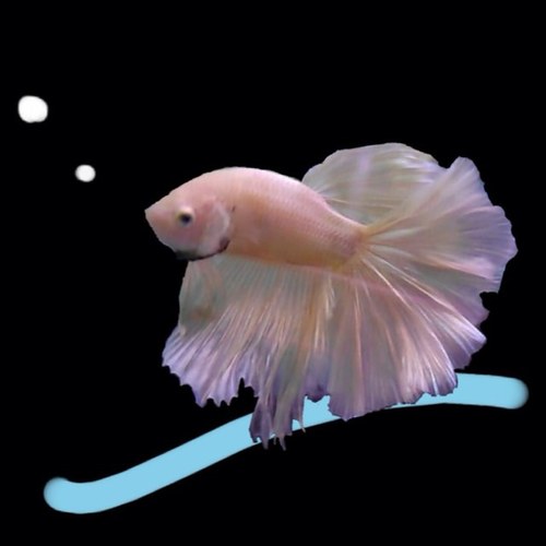 まったりつり球愛。あにをたの泥沼。語りたいときにひょっこり。