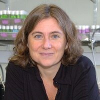 Eugenia Piddini (@epiddin) 's Twitter Profile Photo Eugenia Piddini (@epiddin) 's Twitter Profile Photo