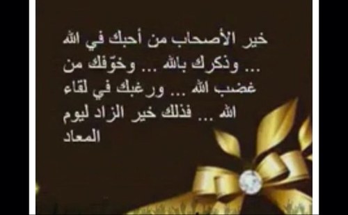 اعشق الزراعه والاستكشاف والتجارب والغوص في عالم النبات والبئيه ،اتجنب قدر المستطاع الافراط بالاسمده والمبيدات 😍 احب أعادة التدوير مكاني المفضل المزارع