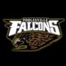 PHS Field Hockey (@phs_fieldhockey) Twitter profile photo