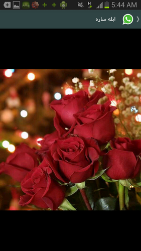 hfffjxx's profile picture. 