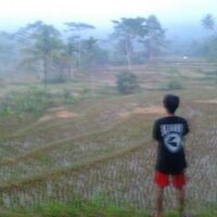 Fajar Dwi Saputra (@fajarrds) 's Twitter Profile