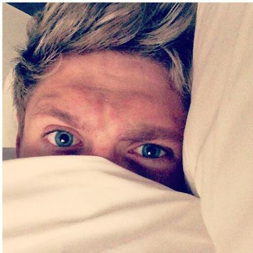 te estoy dando un seguidor gratis, sigueme en @HoranftPayne follow back al instante.