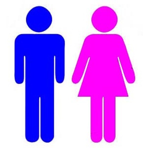How to start and success a dating website for the webmaster and internet marketer.