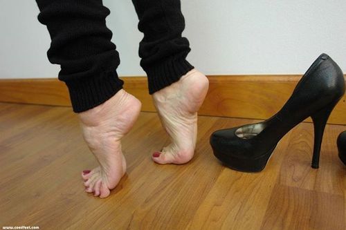 saher_alzlam's profile picture. 