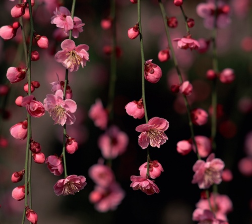 lil_one2420's profile picture. Just a small fish in the ocean