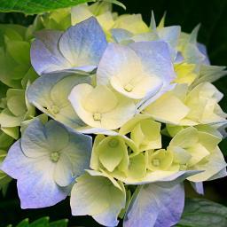 samanth17337581's profile picture. Live life like theres no tmrw