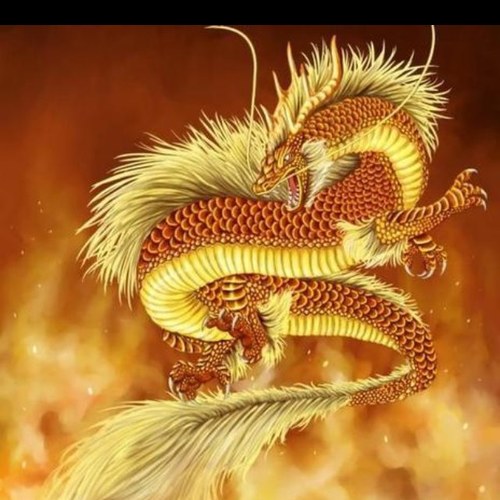 NithisP's profile picture. 