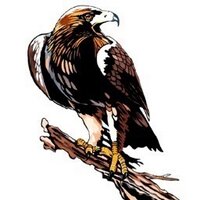 kalumDan (@kalumdan) 's Twitter Profile