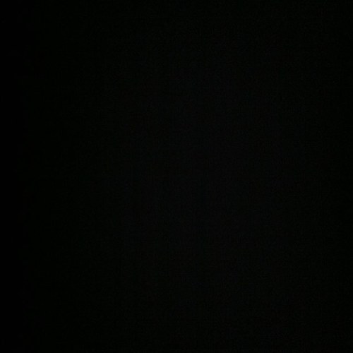 sotaylorrr Profile Picture