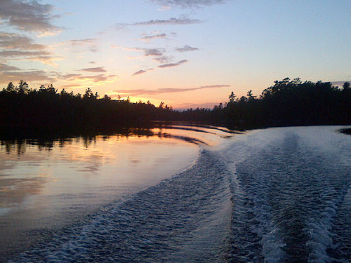 416leafsfan's profile picture. GYM HEAD. SAUGA.