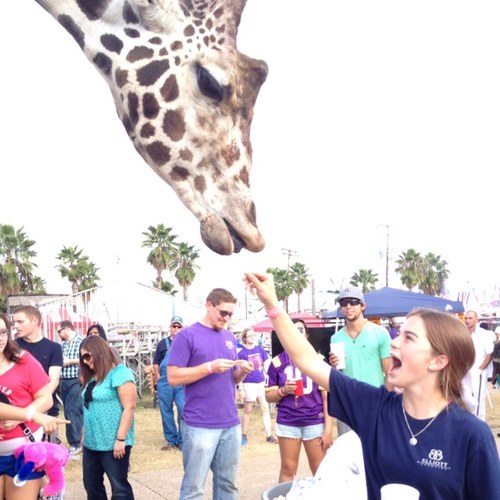 erindeyo4's profile picture. 