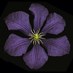 tbi (@tbi2099) Twitter profile photo tbi (@tbi2099) Twitter profile photo