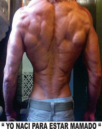 YamilAcostaReye's profile picture. 