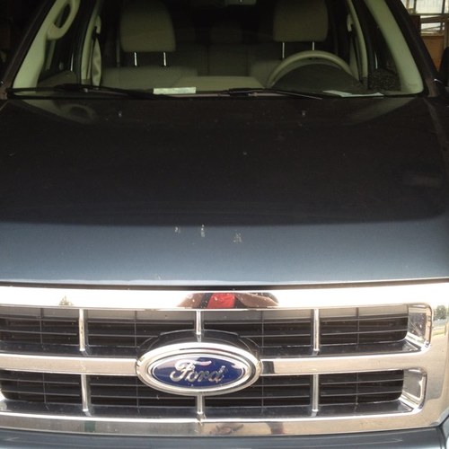 sadfordowner's profile picture. some stuff about stuff