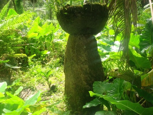 http://t.co/qRk98Lk8jw
Chamorro_Connections on Instagram