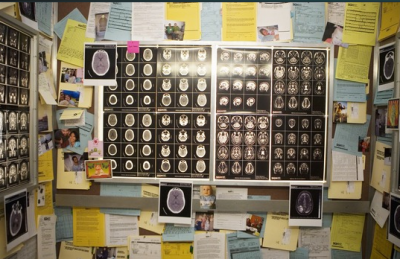 GreysElevator's profile picture. Grey's Anatomy Parody account.
Most talked about elevator in Tv history.