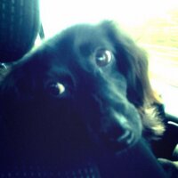 じろう (@gorillllllancer) 's Twitter Profile