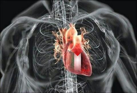 bassamko55's profile picture. 