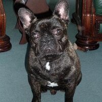 Steve Baldwin (@steveblue17260) 's Twitter Profile