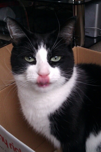 WithJayne's profile picture. Mum, wife, Inflammatory Bowel Disease is bloody shit #IBD #UlcerativeColitis