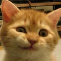 おもしろ話botです。おもしろツイートをまとめています。30分に一回つぶやきます。おもろしろいと思えたらRTおねがいします！