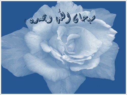 {لَّا إِلَهَ إِلَّا أَنتَ سُبْحَانَكَ إِنِّي كُنتُ مِنَ الظَّالِمِينَ }